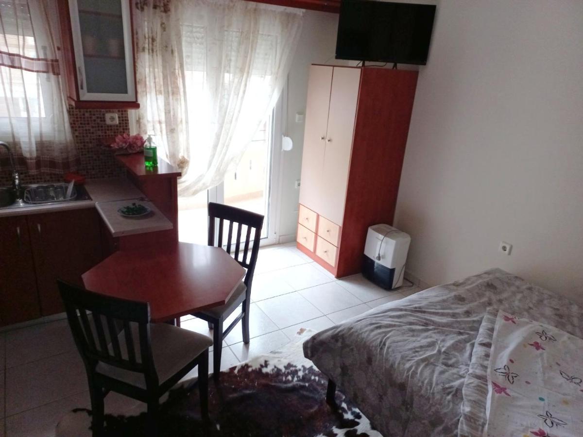 Ιάνθη Studio Apartment Karditsa Exterior photo